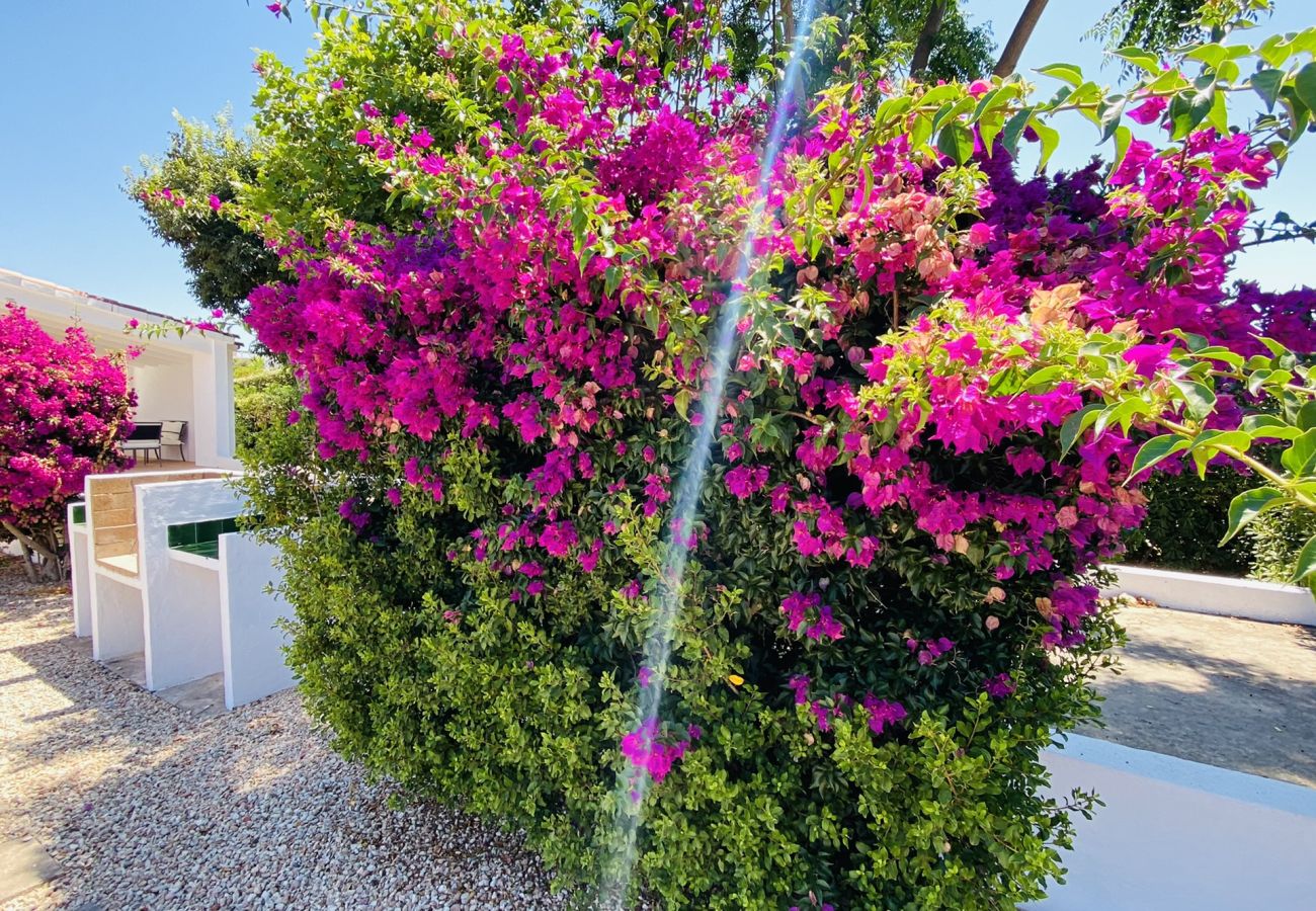 Villa in Binibeca - Villa CRISTINA