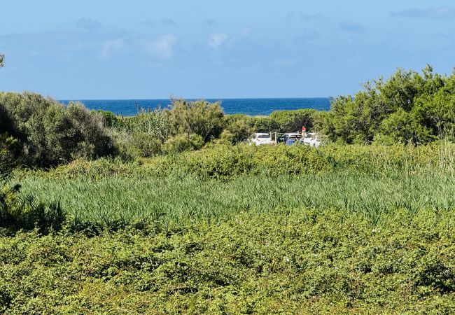 Apartment in Son Bou - Apartment MULBERRY Apartment in Son Bou - Apartment MULBERRY